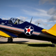 Illustration for article titled The Most Beautiful Planes At EAA AirVenture 2014